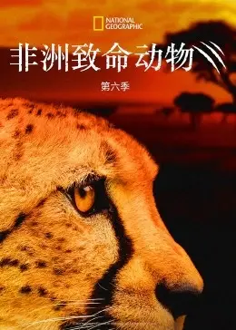 《非洲致命动物第六季》：惊险再升级！探秘非洲大陆的残酷生存法则