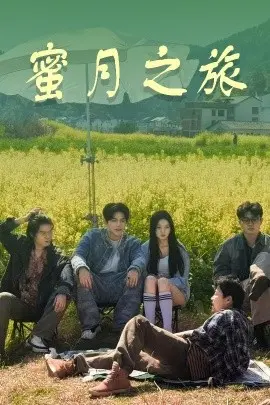 《蜜月之旅》：当甜蜜变成噩梦，一场婚姻的残酷真相，爱还能继续吗？