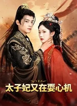 《太子妃又在耍心机》：古风宫廷权谋下的女性觉醒，一场关于智慧与生存的较量！