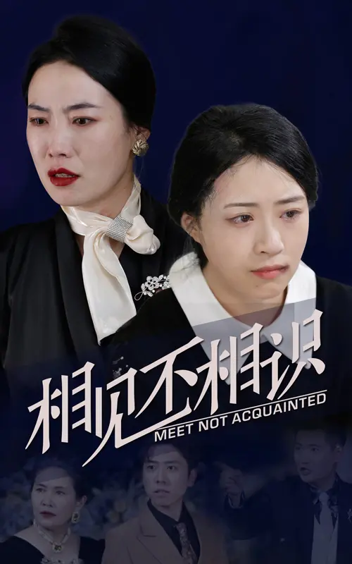 相见不相识 海报
